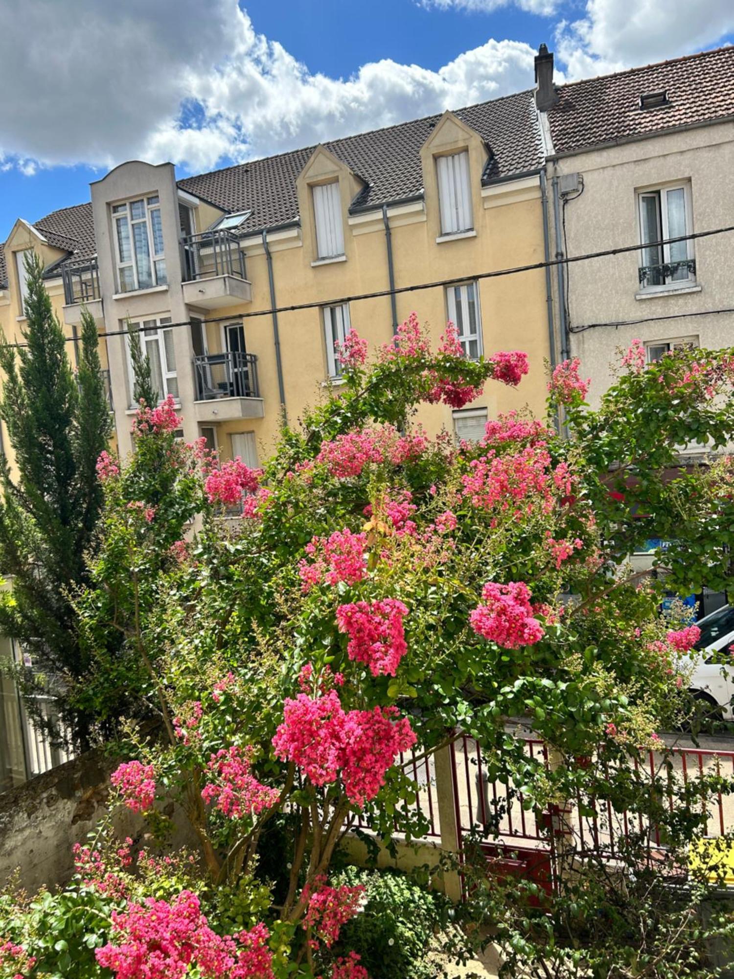 F3 Au Grenier D'une Maison Massy (Essonne)